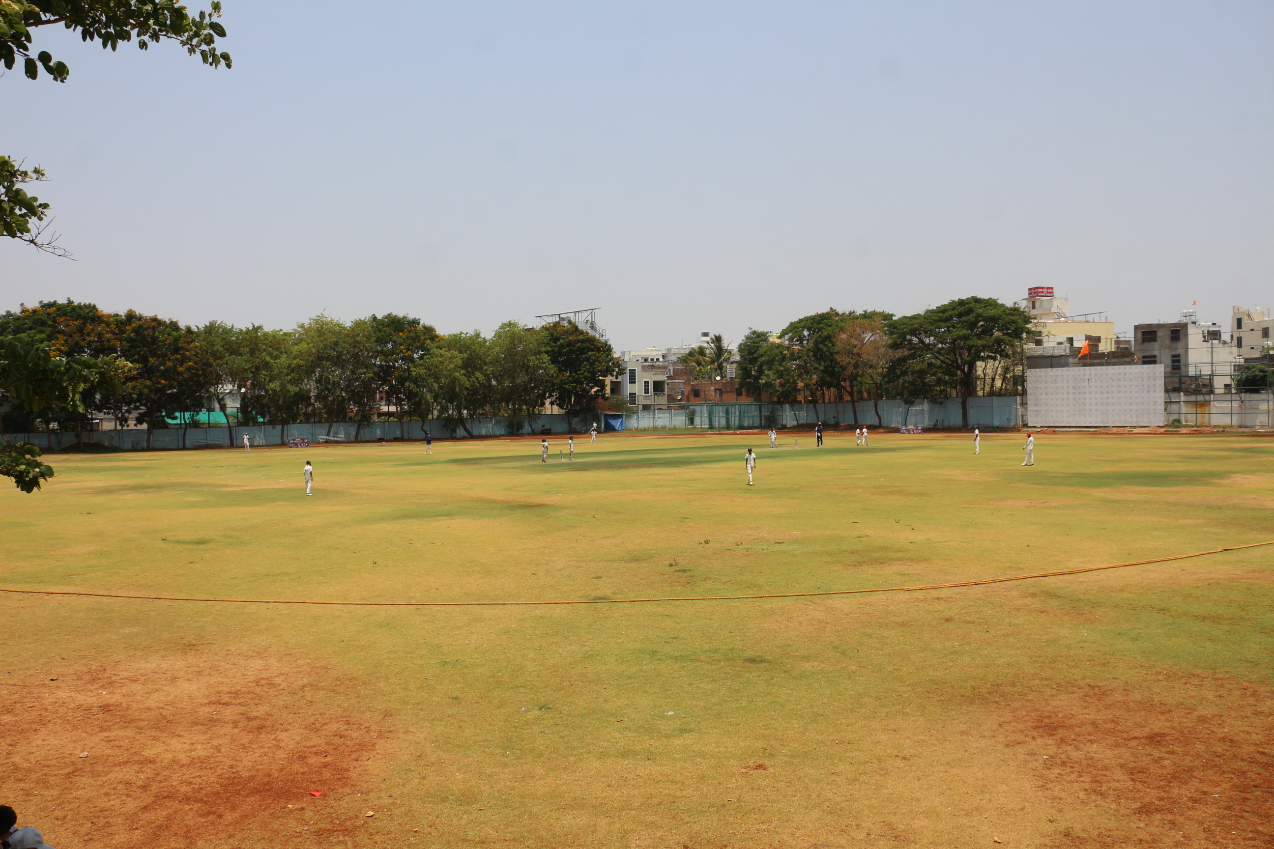 Stadium & Sports